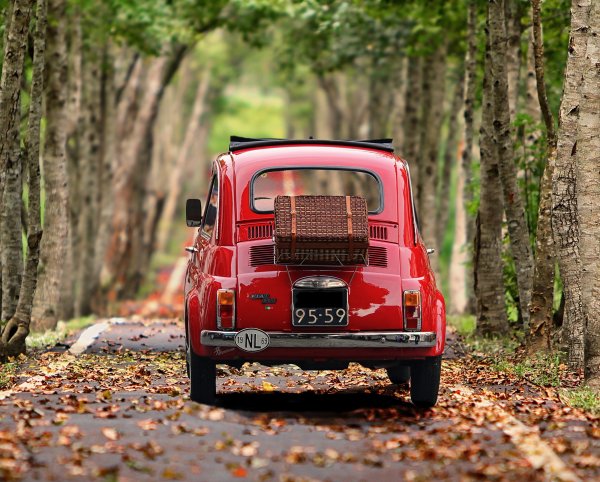 An image of the back of a 1960s red Volkswagen Beetle as it drives away down a leaf-strewn road. The road is lined with tall trees.