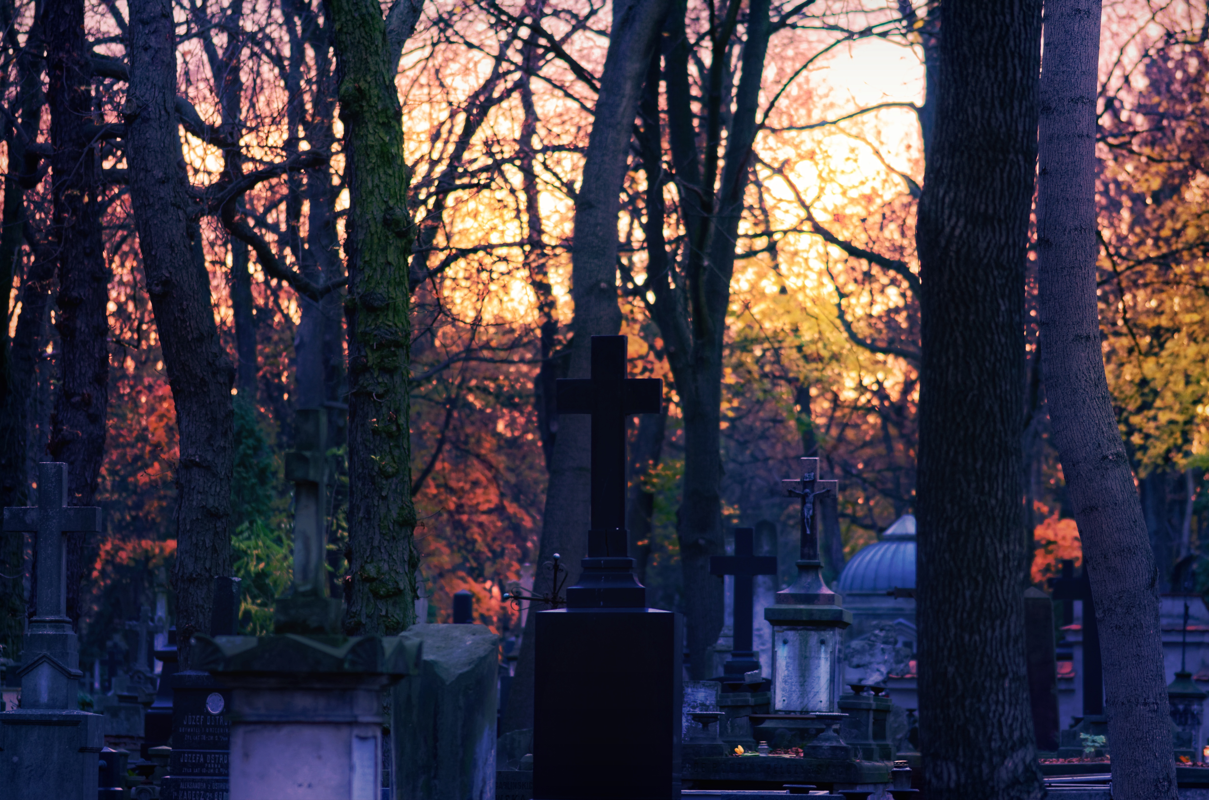 A photograph of a cemetery at dusk. Several headstones (black and white) donned with crosses stand in a cemetery among several tall tree trunks. In the distance, the sun glows orange in the horizon.
